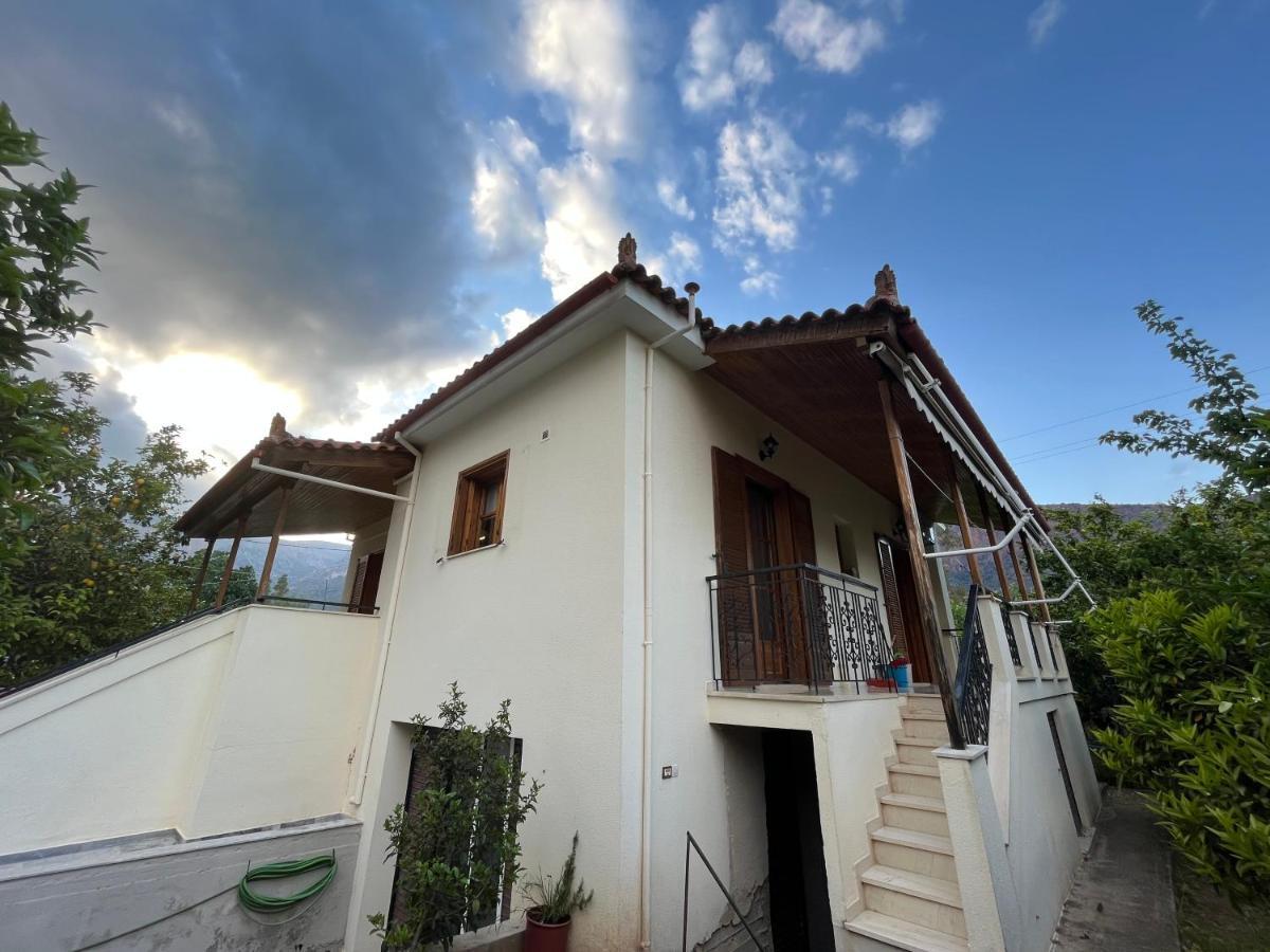 فيلا Lemon Tree House ليونِذيو المظهر الخارجي الصورة