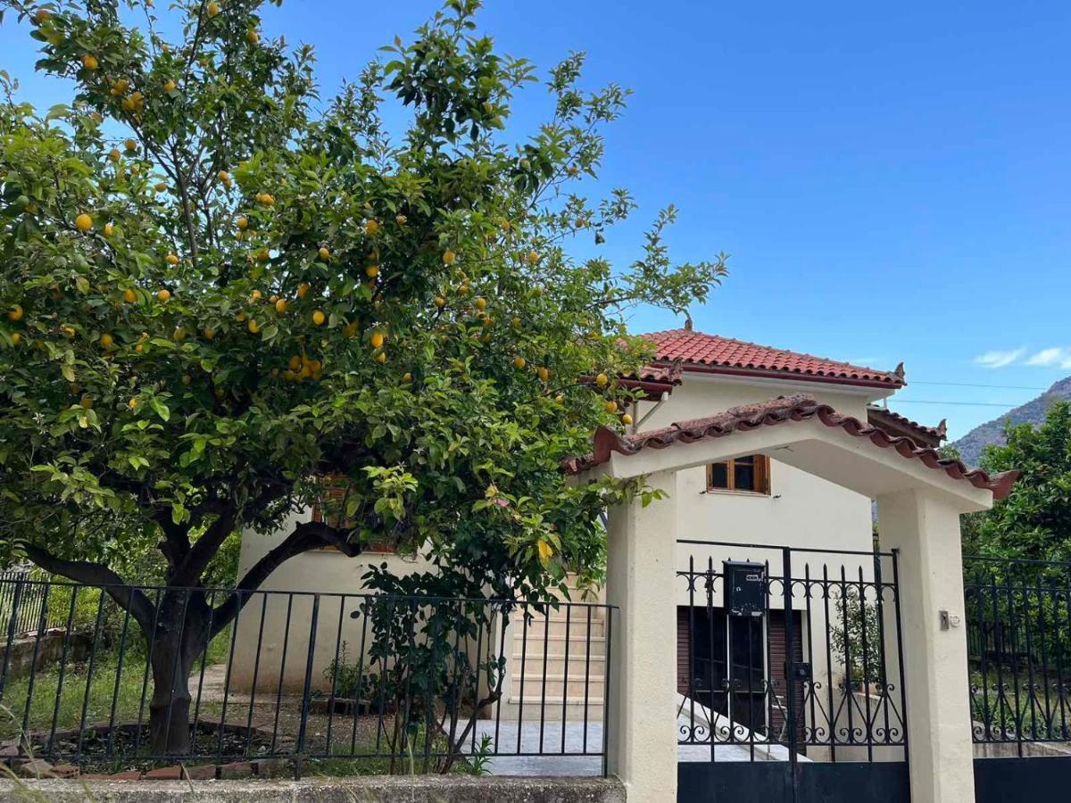 فيلا Lemon Tree House ليونِذيو المظهر الخارجي الصورة